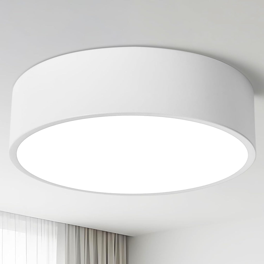 Dimmable Modern White LED Ceiling Light