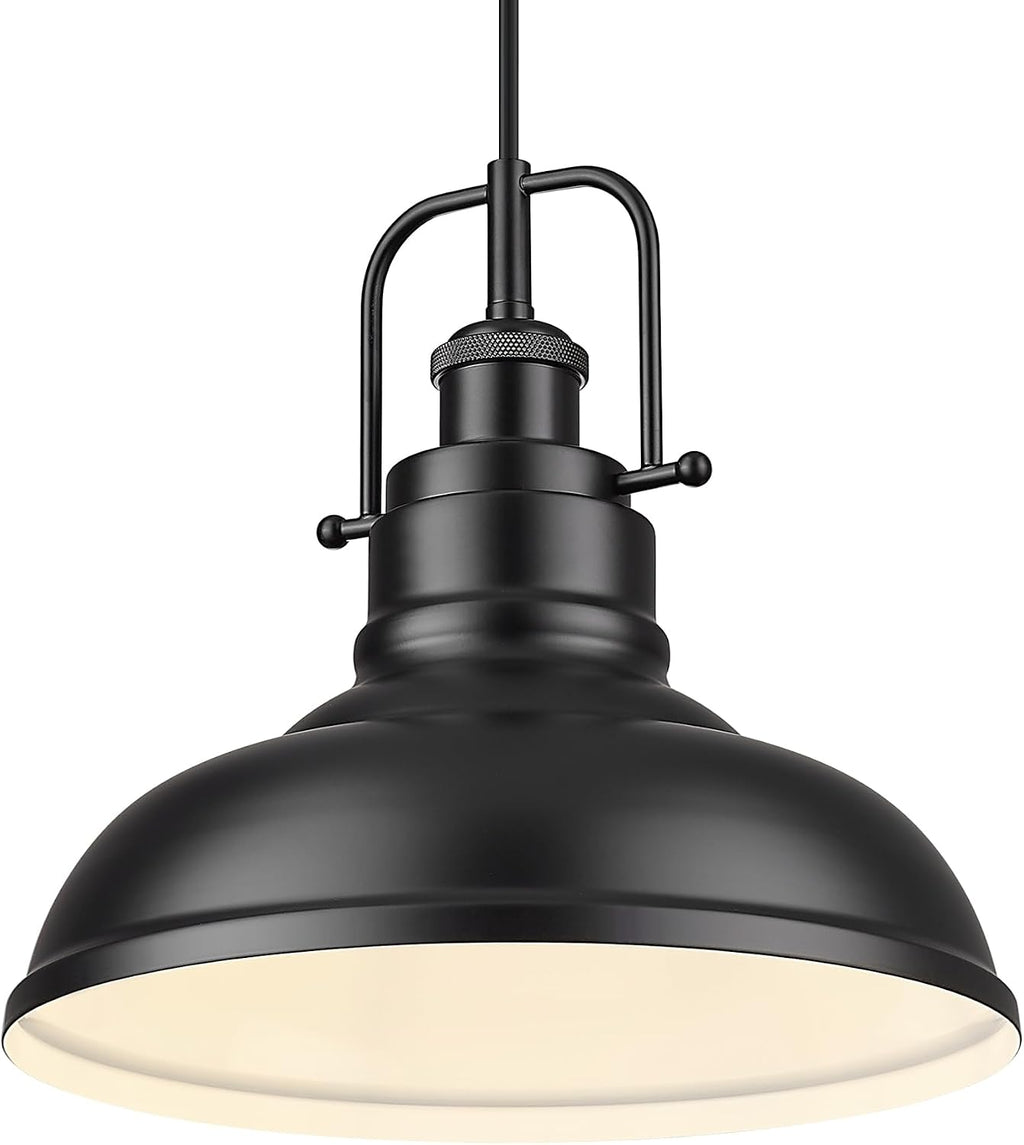Black Metal Dome Industrial Pendant Light