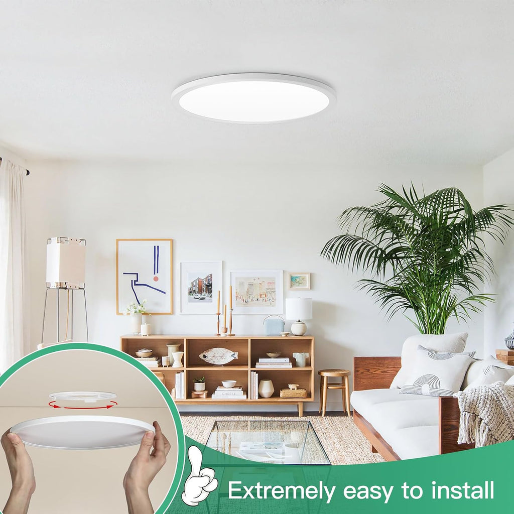 Dimmable Modern LED Ceiling Light Fixture